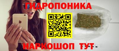 МДПВ Гусев