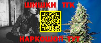 МДПВ Гусев