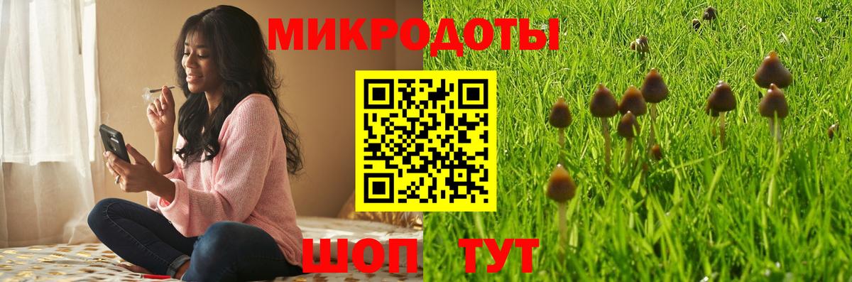 Галлюциногенные грибы мухоморы Копейск